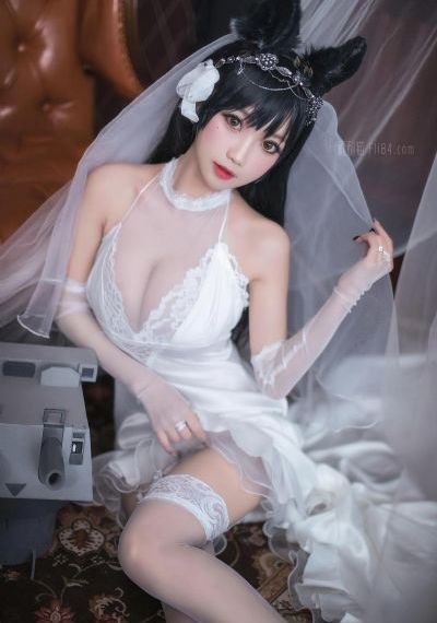 白色橄榄树电视剧免费观看陈哲远