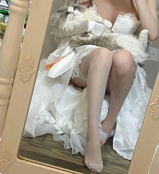 看动漫网站