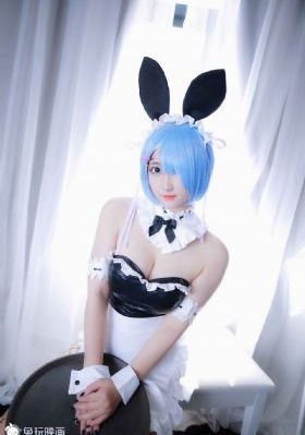 没落的贵族