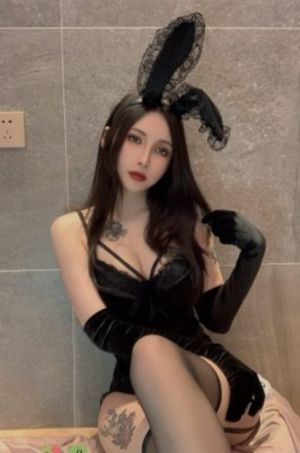 后宫露营第一季在线观看